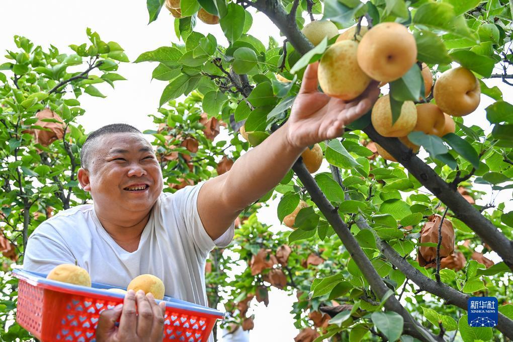 百家乐官网